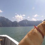 screen-shot-2016-09-18-at-5-00-39-pm