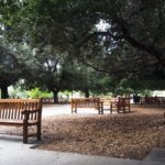 5facilitieschalk_news_irenelam