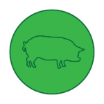 pig-icon