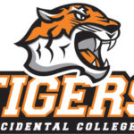 01-OccidentalTiger_3C
