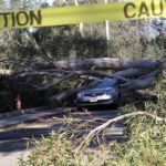 image-uploaded-from-ios-1