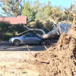 image-uploaded-from-ios