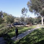 image-uploaded-from-ios-2