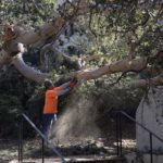 image-uploaded-from-ios-4