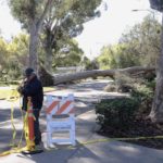 image-uploaded-from-ios-5