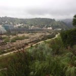 runningplaces_sports_mariasalter1-sized