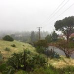 runningplaces_sports_mariasalter2-sized