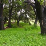 runningplaces_sports_mariasalter3-sized