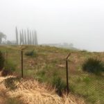 runningplaces_sports_mariasalter5-sized