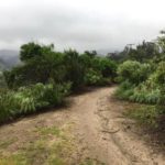 runningplaces_sports_mariasalter8-sized