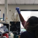 sciencescholar_news_kennaruis3-sized