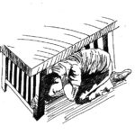 IncaseOfEmergency_AliceFeng-3-sized