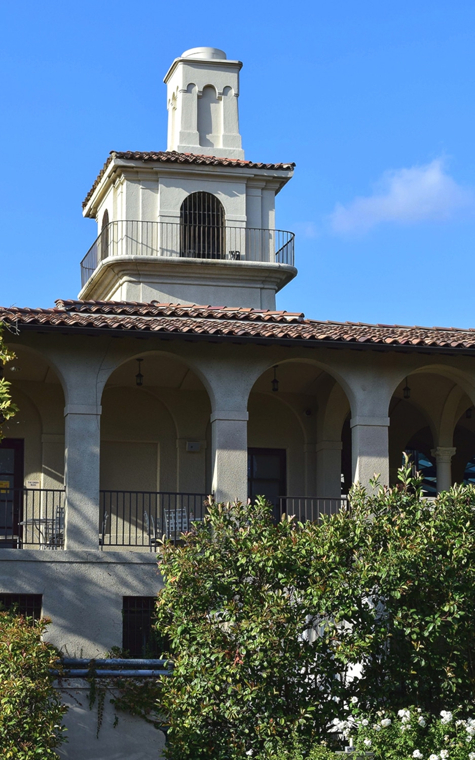 Bells_NEWS_JesseLeclere3-sized-sized2