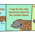 Courtesy of AlexCohen_CULTURE_3-sized2