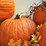 Halloween_FEATURE_NatashaCarpenterFrank4-sized2