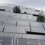 Sustainibility_NEWS_SamPess1-sized