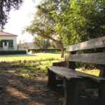 NatureStudySpots_CULTURE_MariaSalter (10).jpg