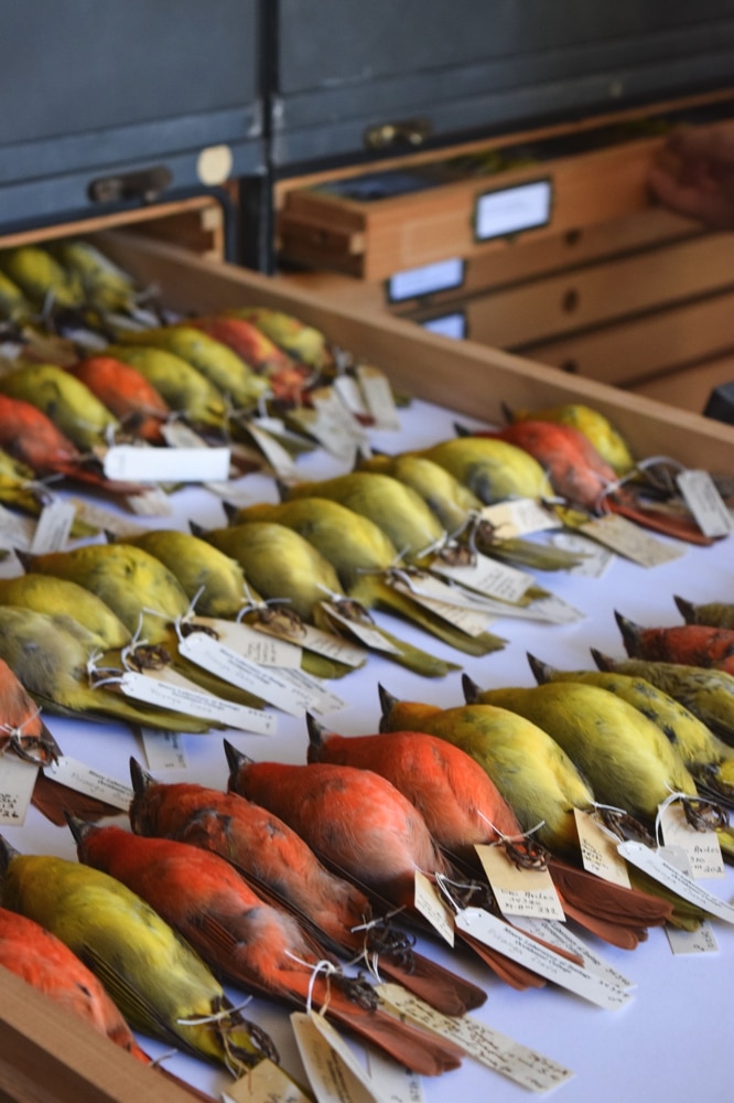 NEWS_AndersonEnviornmentalScienceCenter_MollyKauffman3