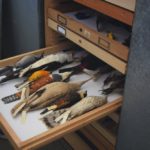 NEWS_AndersonEnviornmentalScienceCenter_MollyKauffman8