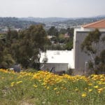 MEDIA_SpringPhotoEssay_MaggieSu11