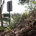 MEDIA_SpringPhotoEssay_MaggieSu7