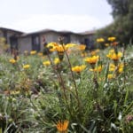 MEDIA_SpringPhotoEssay_MaggieSu8