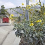 MEDIA_SpringPhotoEssay_MaggieSu9