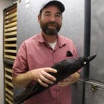 Crows_News_CindyDong4