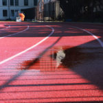 ADSEARCH_SPORTS_AVACIOSEK01