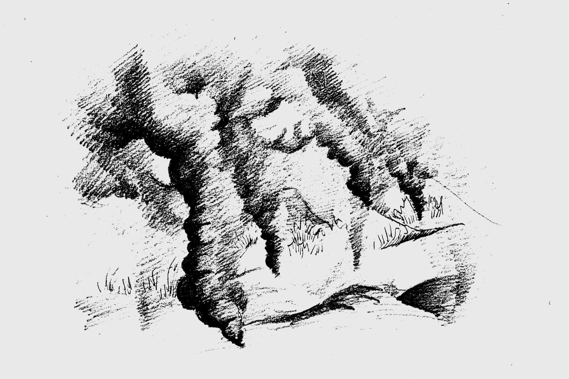 WildFires_AliceFeng_Culture