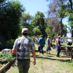 PlantSale_COMMUNITY_BellaFabiani-13