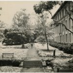 ThenandNow.CULTURE.GracePozen05