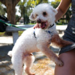 DogsOnCampus_MEDIA_Kathy1