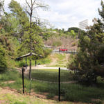 PetsinEagleRock_COMMUNITY_MiajaLemieux3