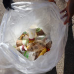 Compost_NEWS_RiverLisius1