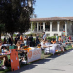 CampusBeautification_NEWS_KendallKitahara3