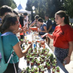 FoodJusticeMonth_CULTURE_NancyZhou-2