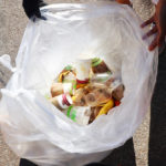 Compost_NEWS_RiverLisius1 (1)