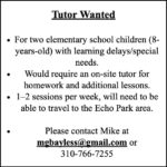 Mike Bayless Website Ad copy