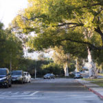 boot_NEWS_mileskoupal_3