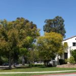 LetterFromCampus_Culture_Kathy1-min-min