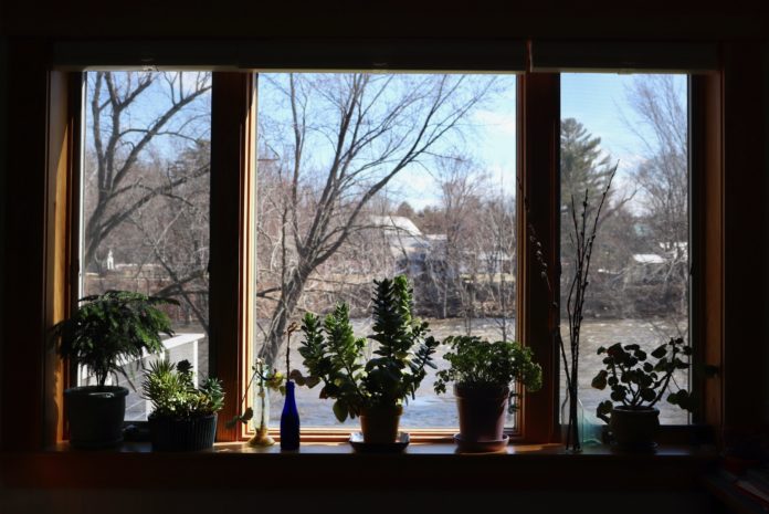 LetterFromLisius_CULTURE_RiverLisius_1-min