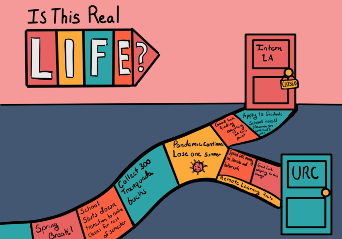 Summer programs_News_Heron-min