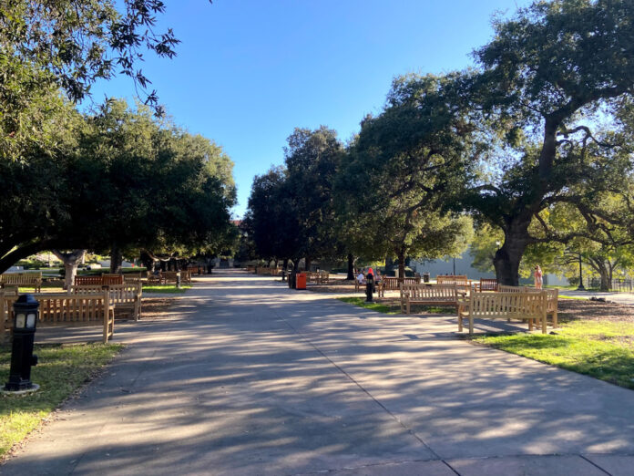 LifeonCampus_Media_HalleSteckel1