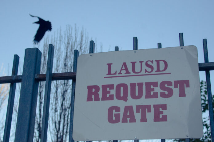 SchoolReopen_CommunityNews_AngelaGuglielmino1