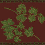 Driscoll_CookingElitism_Opinions