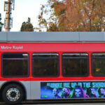 BRT_community_LizzieFriedrich2