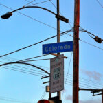 BRT_community_LizzieFriedrich3