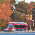 BRT_community_LizzieFriedrich4