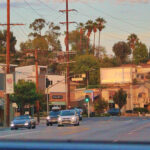 BRT_community_LizzieFriedrich5